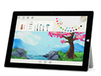 红山Surface 无法开启、Windows 无法启动或电池无法充电