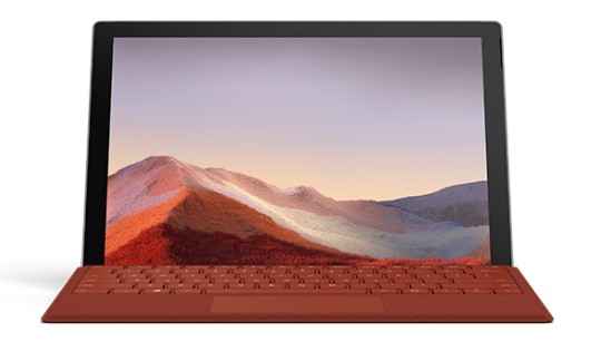 红山清洁和维护 Surface